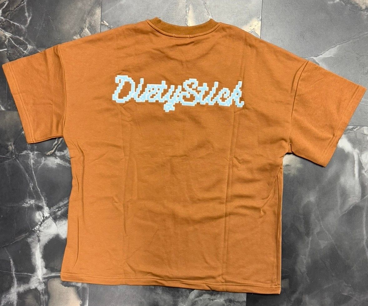 DIRTYSTICK DIGITAL LOGO TEE IN BROWN BLUE