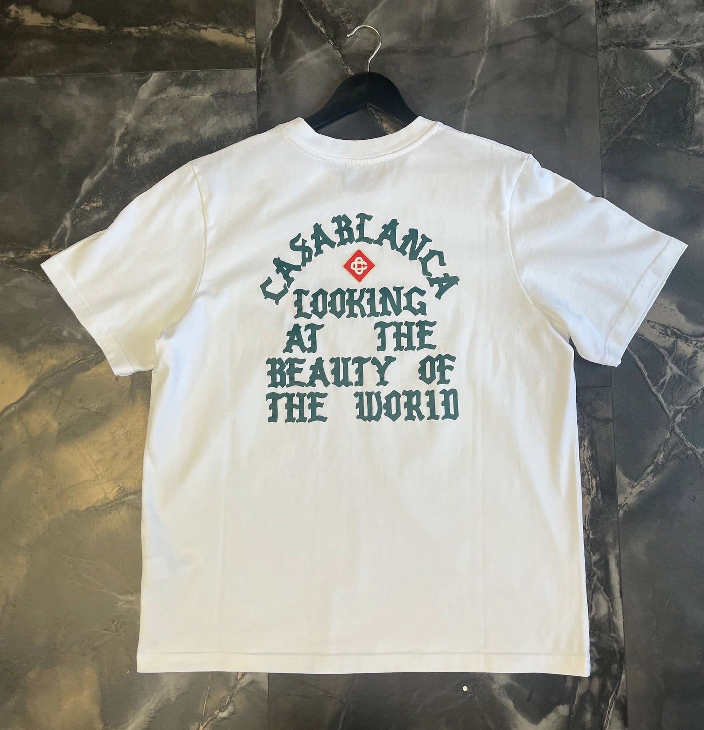 Casa Blanca looking at the Beauty of the World t-shirt
