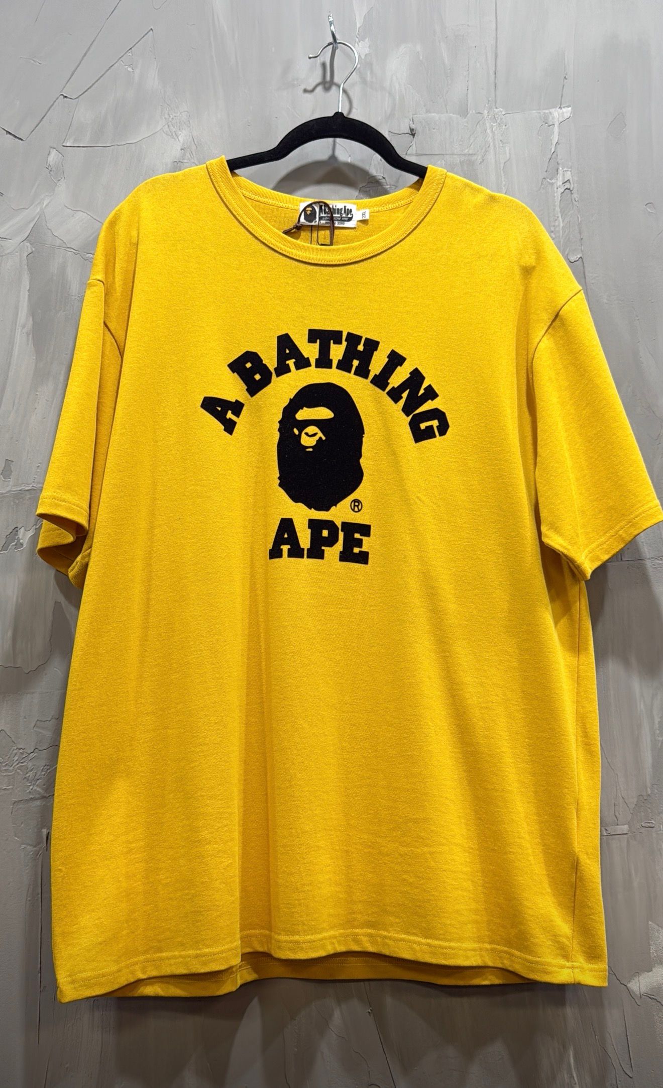 BATHING APE COLLEGE HEAVY WEIGHT TEE