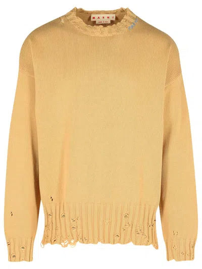 Marni distressed-effect cotton knit sweater beige