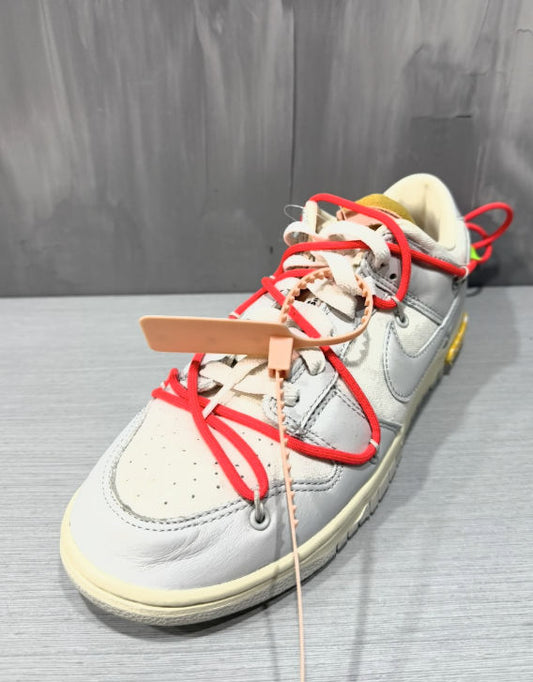 Nike dunk low lot 6