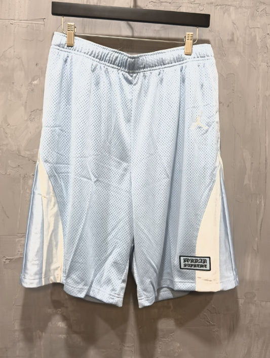 Supreme x Jordan shorts Celestine blue