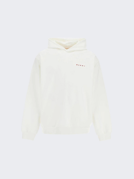 MARNI WRINKLED HOODIE